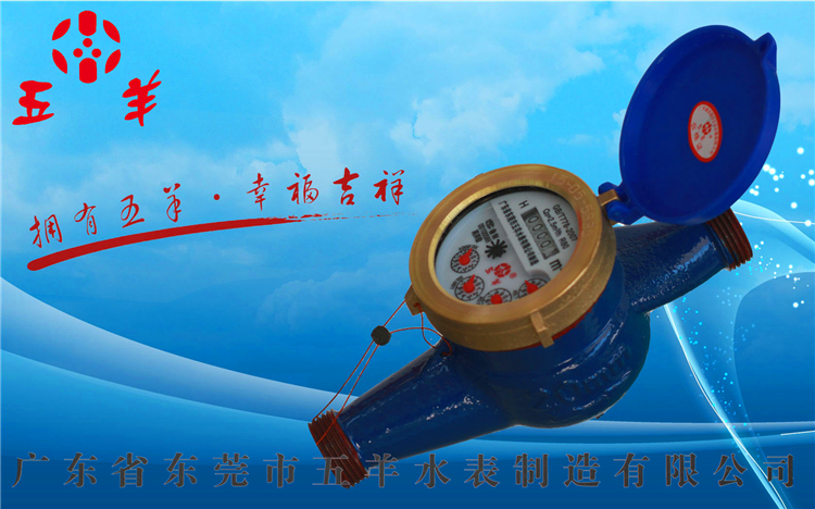 滴水水表6分全铜